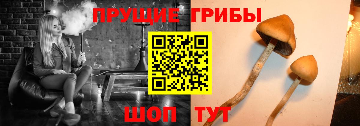 Псилоцибиновые грибы GOLDEN TEACHER  Псилоцибиновые грибы Psilocybe  где продают наркотики  Вход с VPN  Углич 